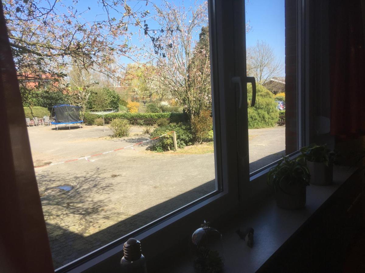Ferienwohnung Tauchen Im Kreidesee, Keine Monteuerunterkunft Hemmoor Zewnętrze zdjęcie